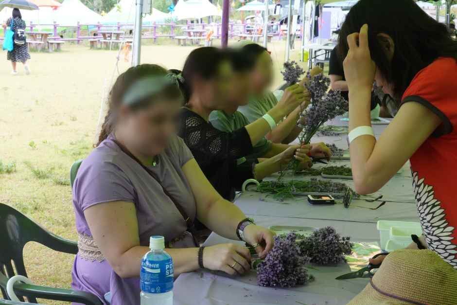 무릉별유천지 라벤더축제
