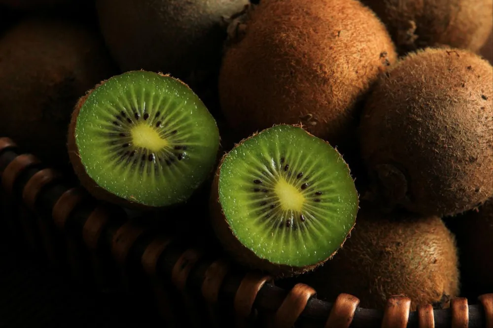 겨울철 보약보다 더 실속 있는 과일, ‘키위’가 몸을 살린다