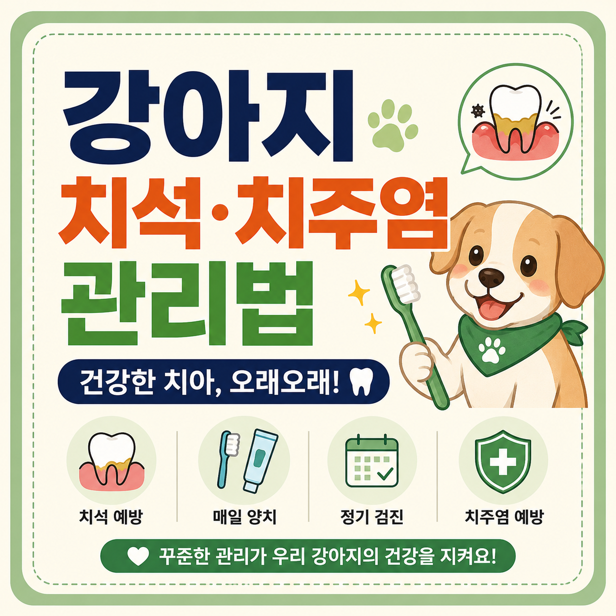 강아지 치석·치주염