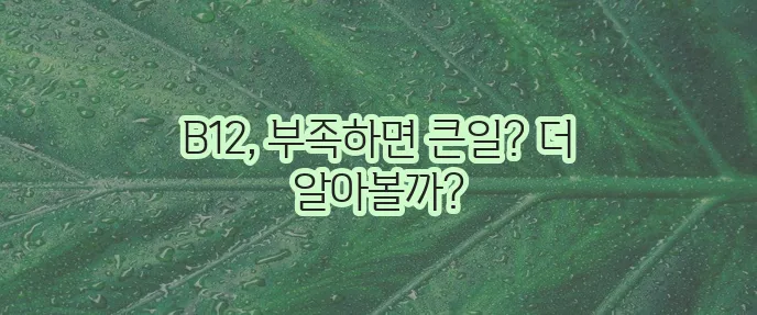 비타민 B12 중요성과 효능 그리고 부작용까지 알아야 합니다!