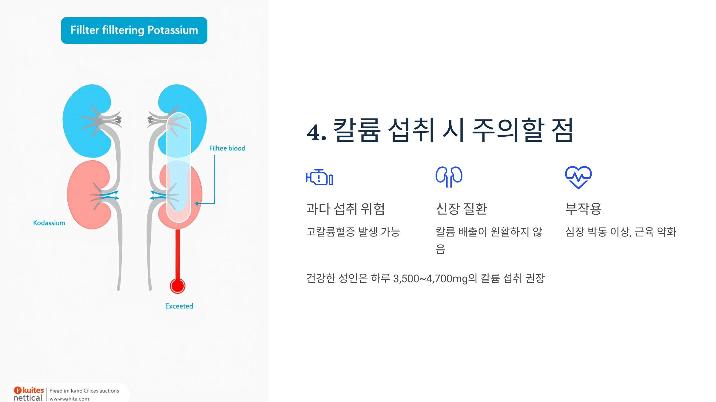 칼륨과 관련된 사진입니다.