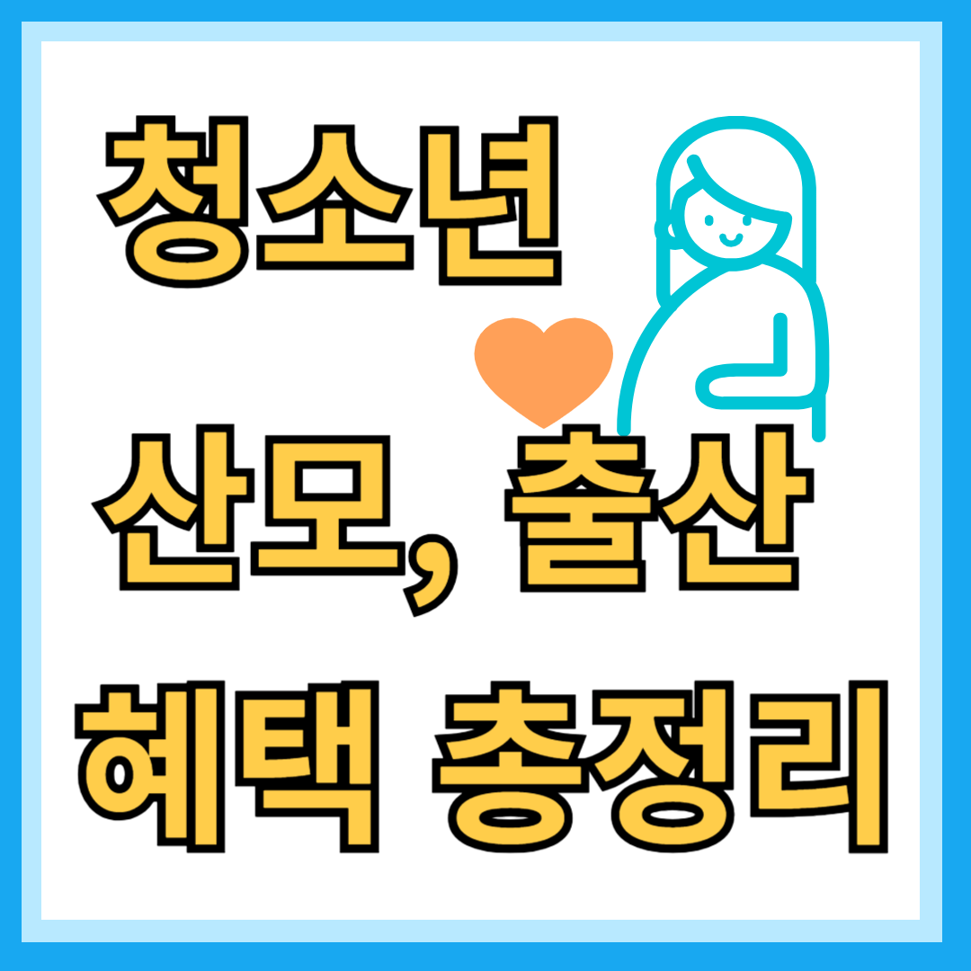청소년 임산부 혜택