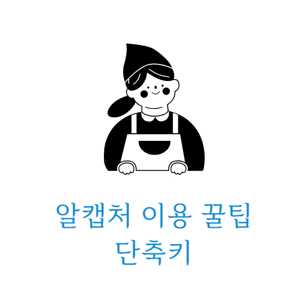 알캡처단축키
