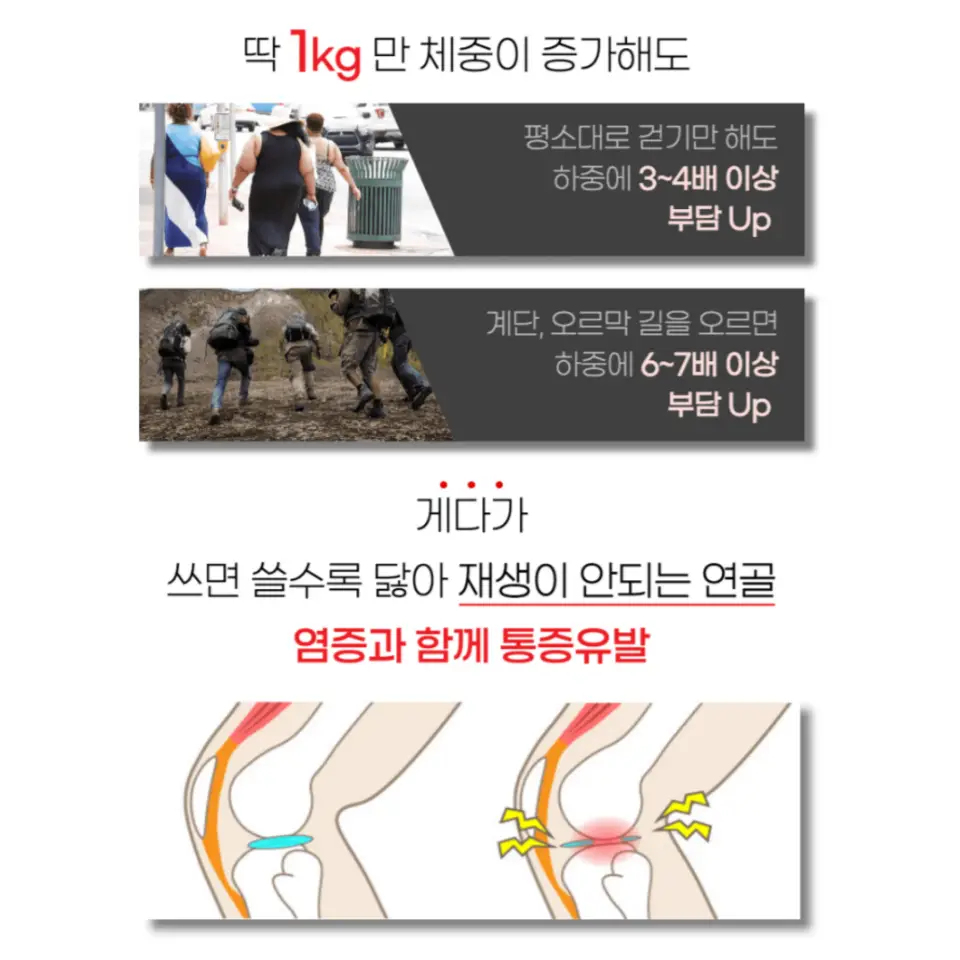 프로테오글리칸 효능 가격 추천