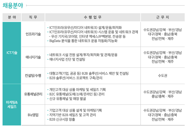 KT 채용 - 채용 분야