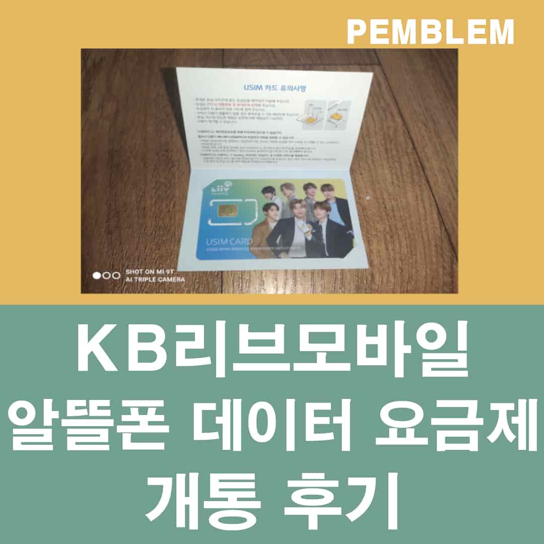 kb리브모바일 알뜰폰 데이터 요금제 개통 후기