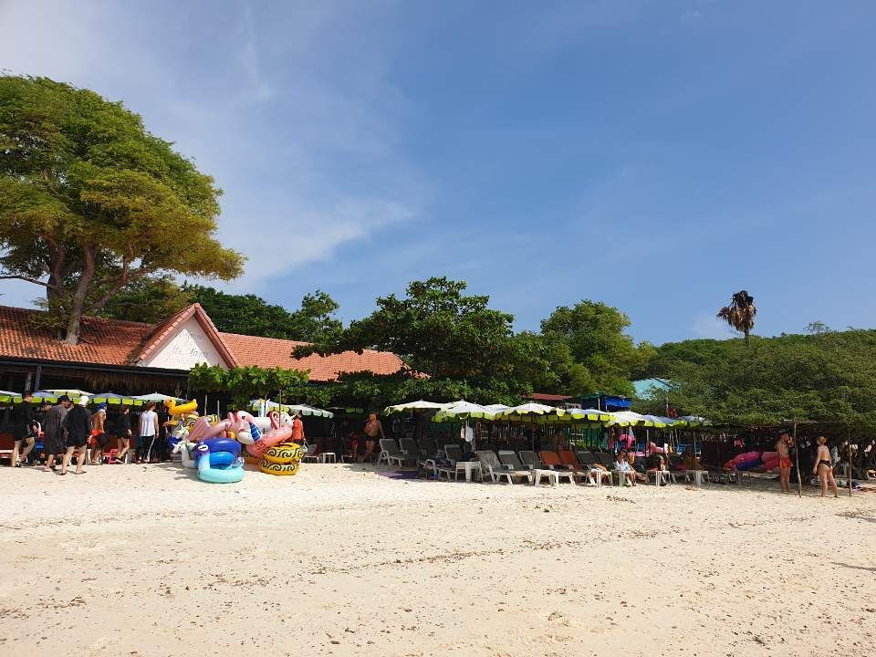 방콕에서 파타야까지! 11,000원 산호섬 스피드보트 투어 예약 꿀팁 총정리