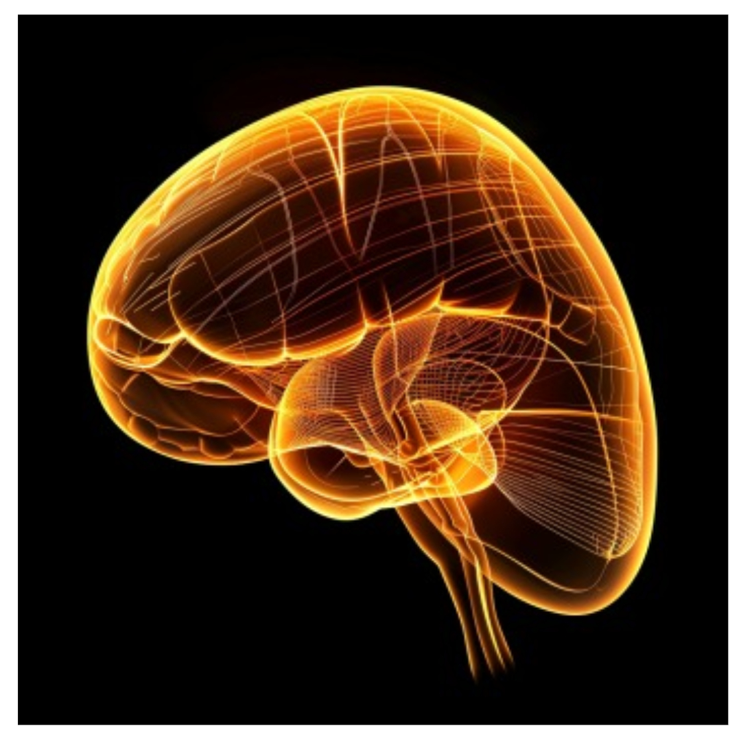 폴리코사놀 효능