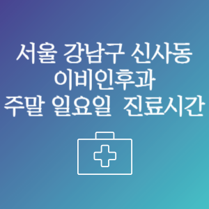서울 강남구 신사동 이비인후과 주말 일요일 문여는 병원 진료시간