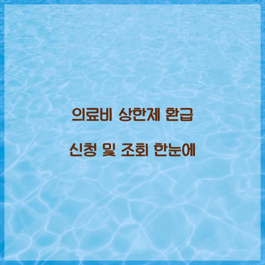 의료비 상한제 환급