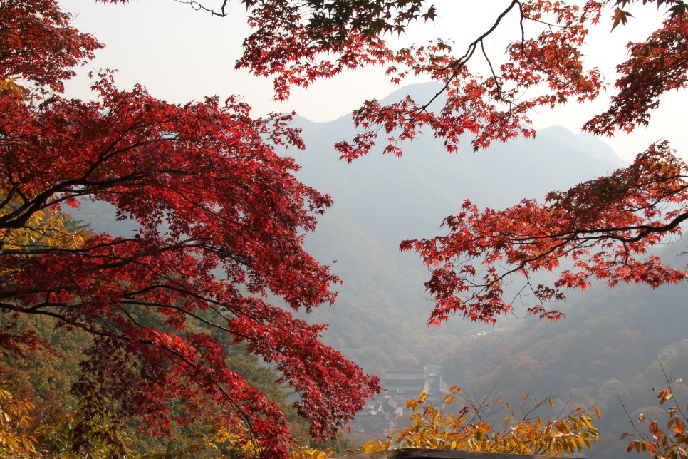 100대 명산 등산하기 두번째 금강산에 비견될 정도로 아름다운 산세 정읍 내장산과 암릉과 절벽의 기세가 돋보이는 산 장성 백암산 