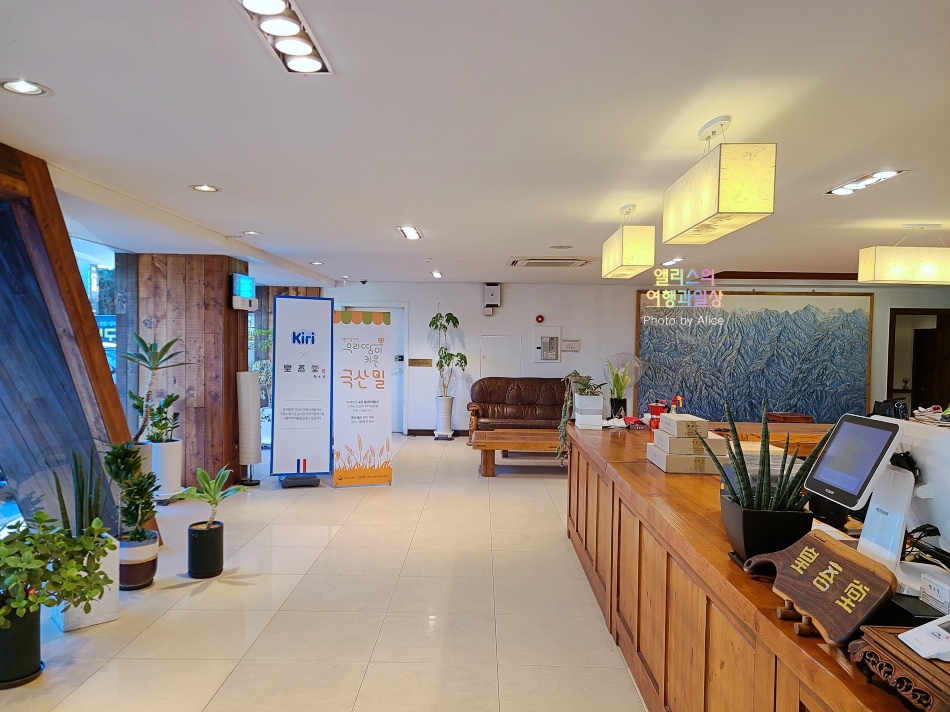 kiri 크림치즈 경주빵 황오당, 내가 경주가면 무조건 사오는 황남빵 추천