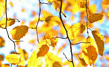 신라 천년의 왕도 경주에서 유적과 유물 역사 읽기