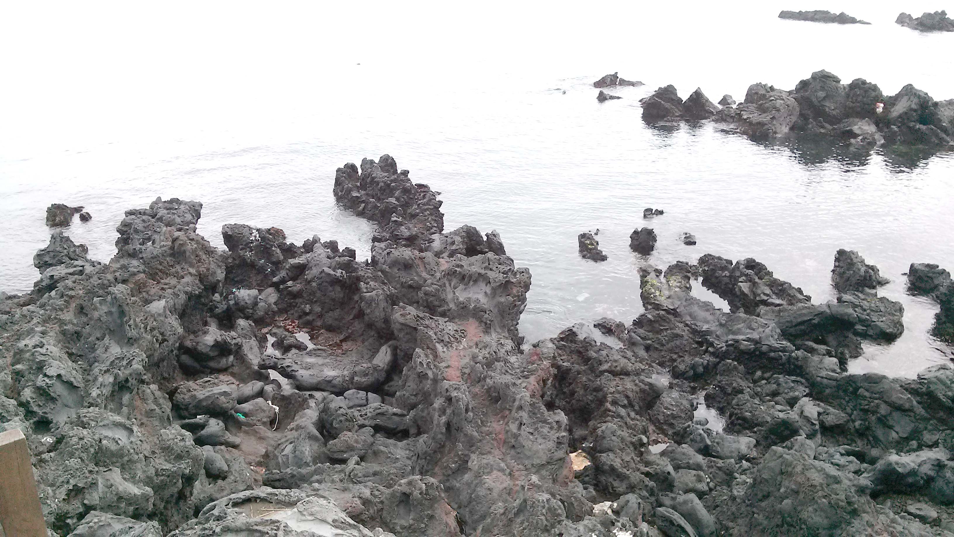 용두암(Yongduam Rock)