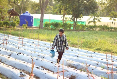 농지연금 지급방식 적용금리 및 지급정지사유