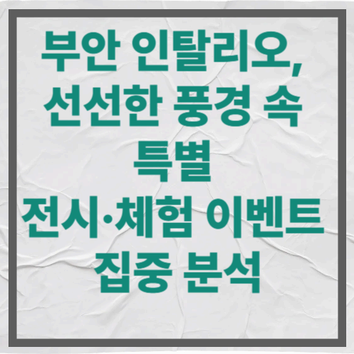 부안 인탈리오, 선선한 풍경 속 특별 전시·체험 이벤트 집중 분석