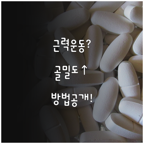 근력 운동으로 골밀도 높이는 연구 결..