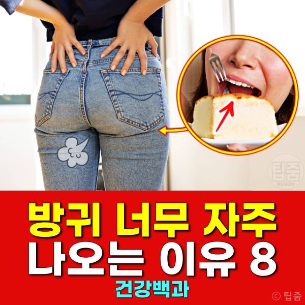 방귀 너무 자주 나오면 이유 냄새 지독 방귀 자독 뀌는 사람