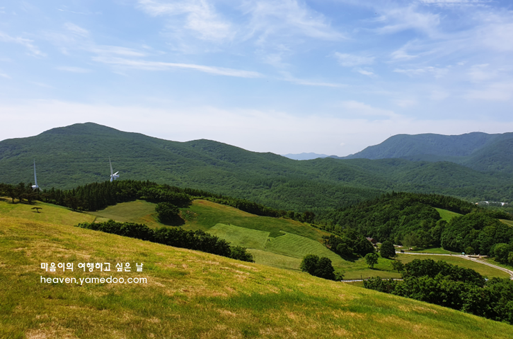 평창 가볼만한곳