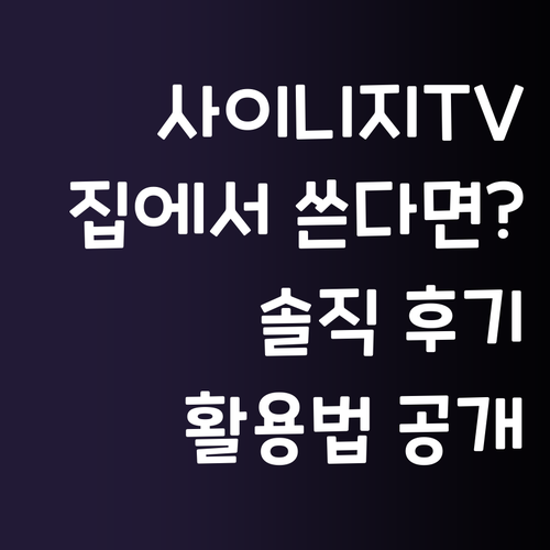 삼성 사이니지 TV, 가정에서 쓰면 ..