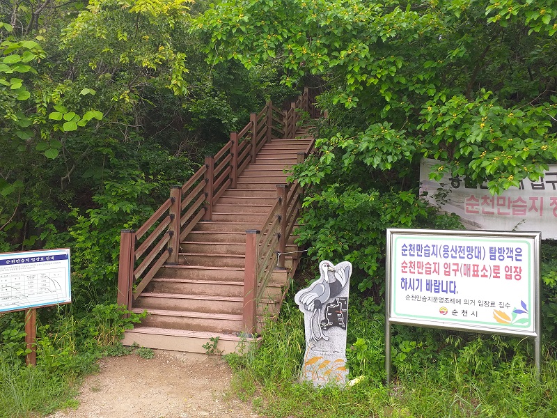 하루만보걷기