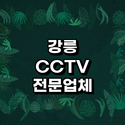 강릉시 cctv