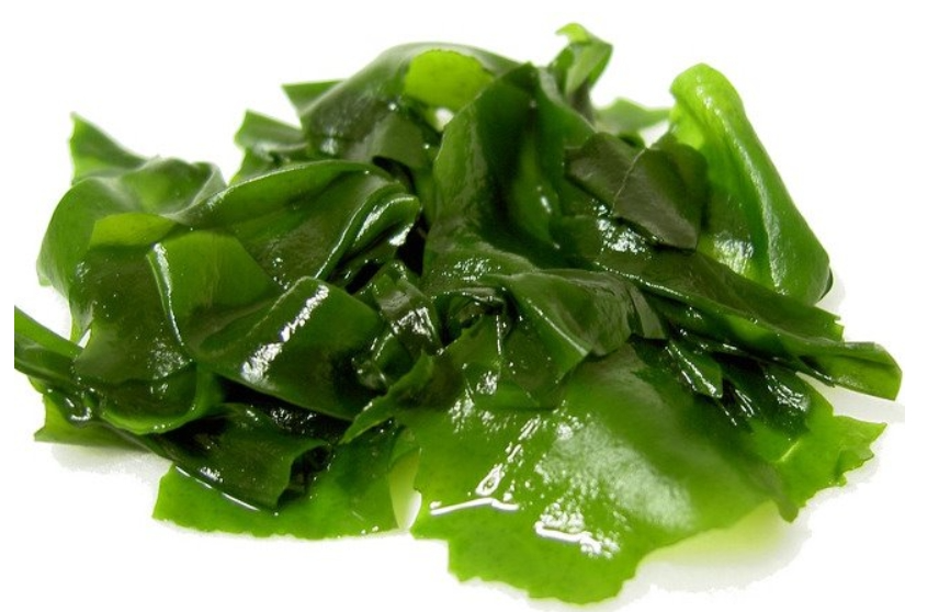 미역은 풍부한 칼륨으로 부기 제거에 효과가 좋다.