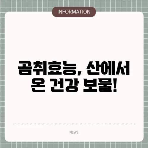 곰취효능, 산에서 온 건강 보물!