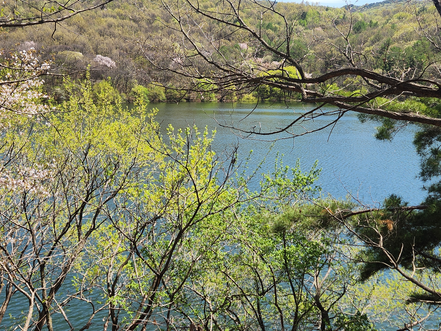 예산 살목지 공포체험