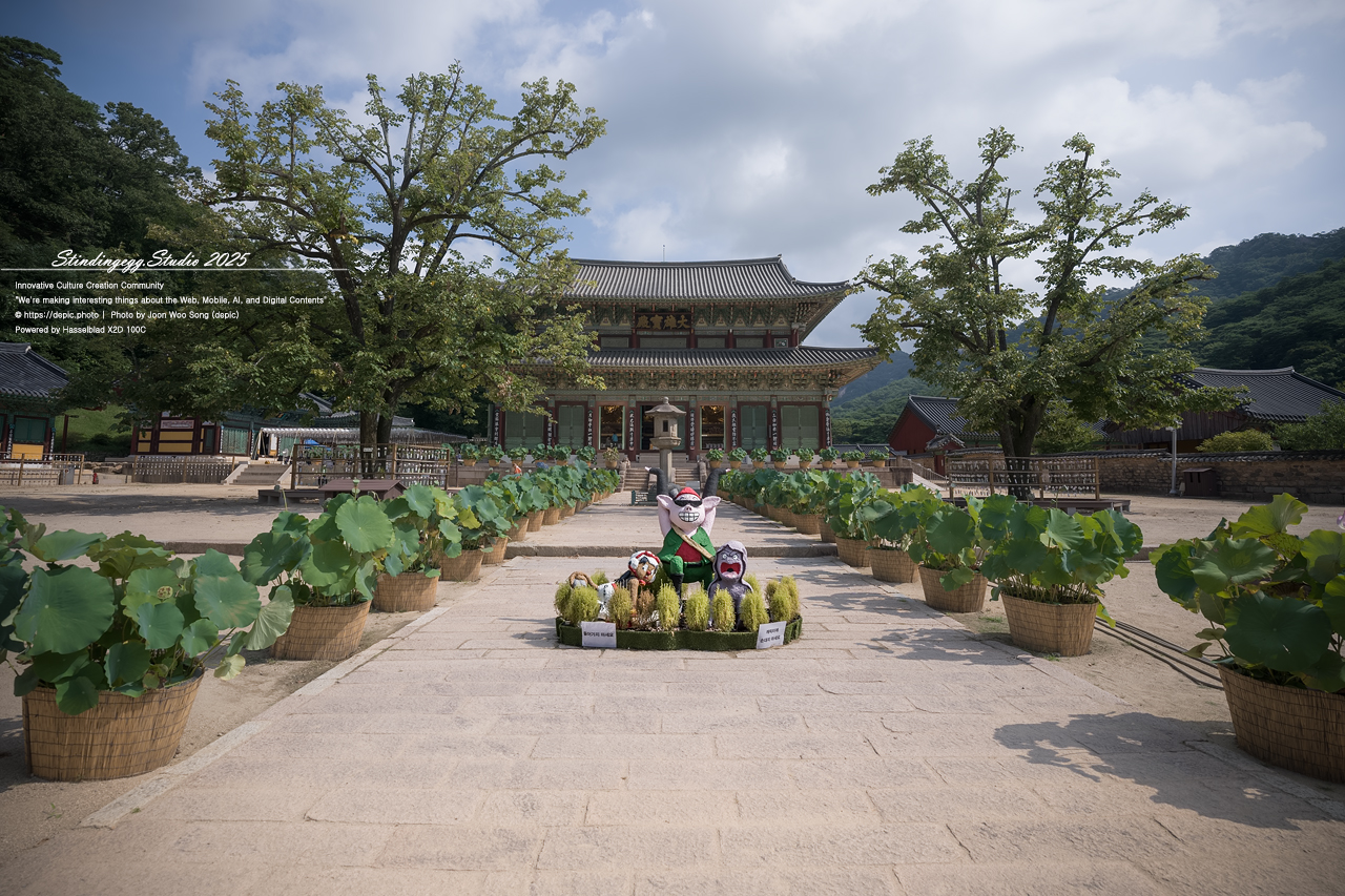 #보은 #속리산 #법주사 #사찰 #불교