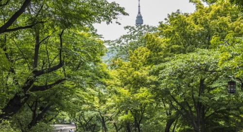 [남산둘레길 야간산행] 사람들이 잘 모르는 서울도심의 힐링 트래킹 코스