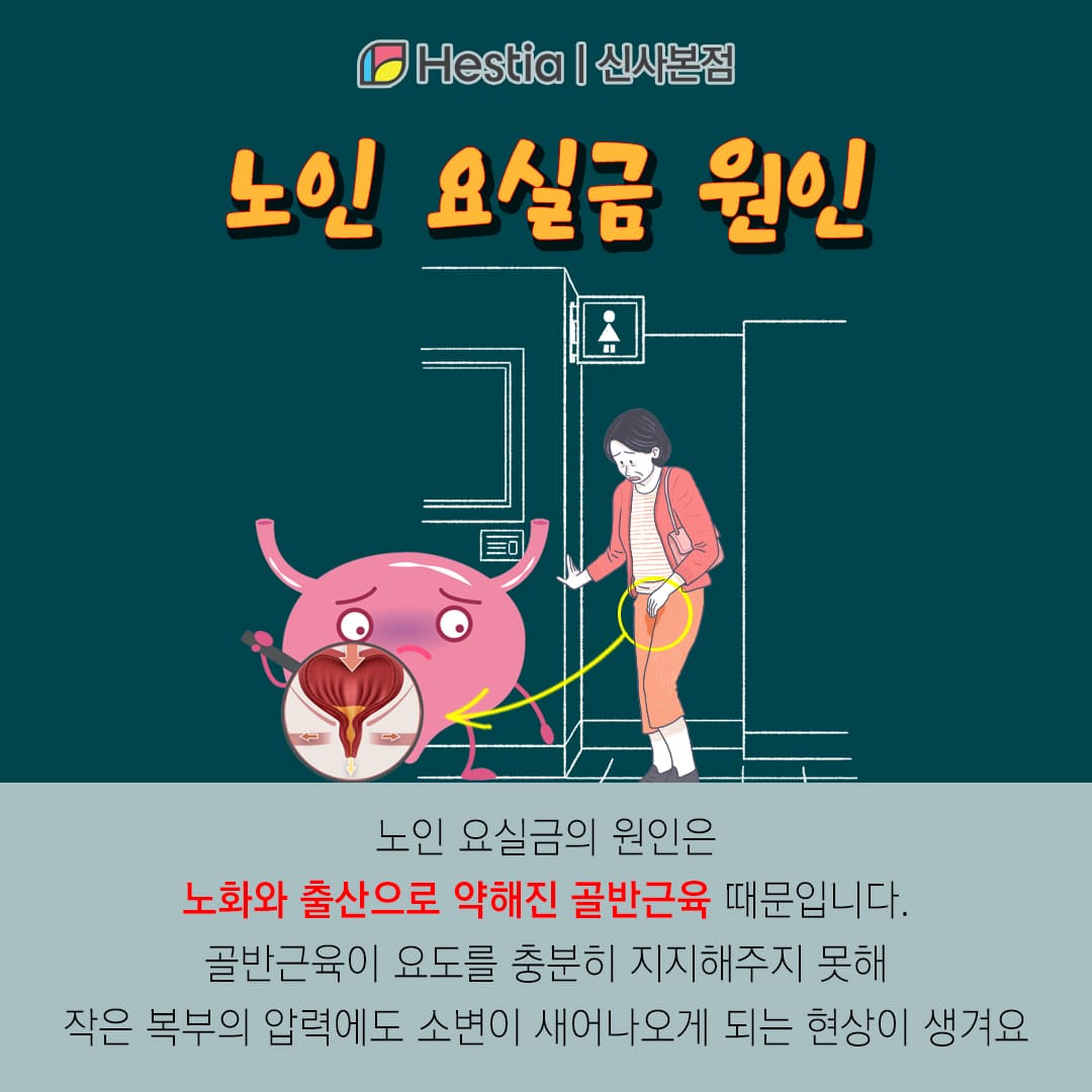 노인 요실금 원인
