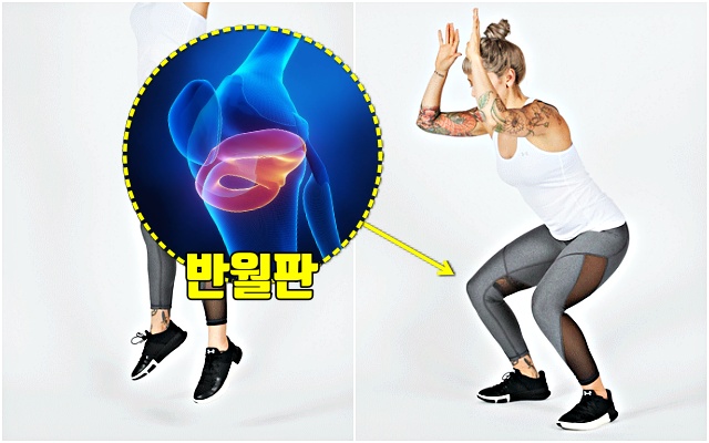 무릎 안좋은 운동 반월판 손상 버피 다이어트 지방 빨리 태우는 운동, 건강 팁줌 매일꿀정보