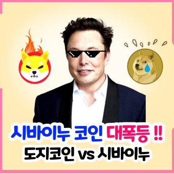 일론머스크 코인