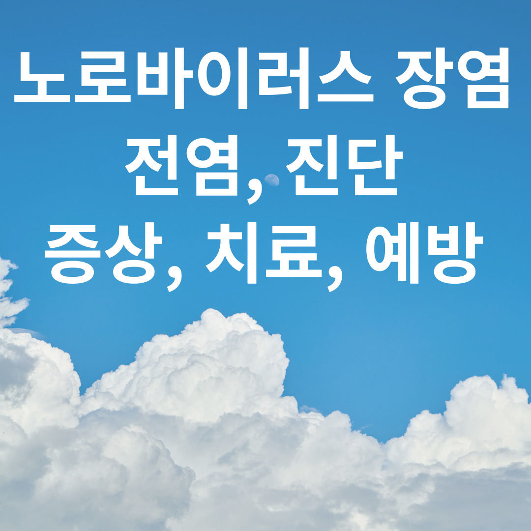 노로바이러스 장염 전염과 진단 방법
