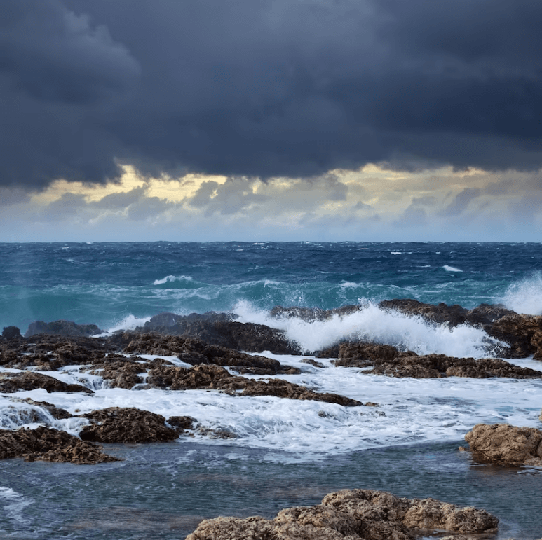 태풍-피해-방지