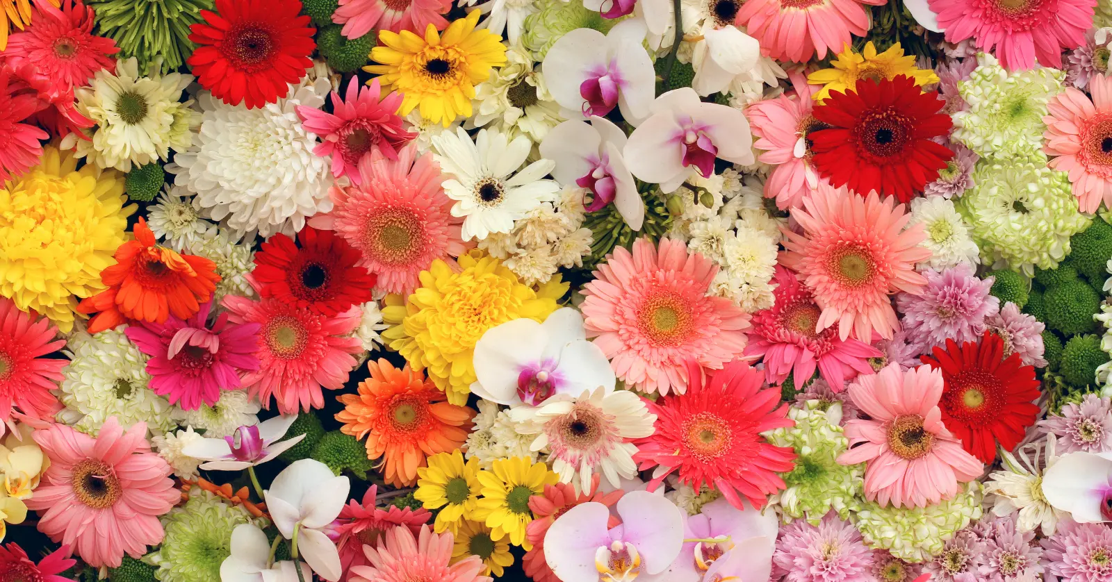 꽃이름 알려주는 어플