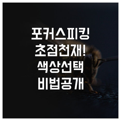 포커스 피킹 기능 활용법과 상황별 최..