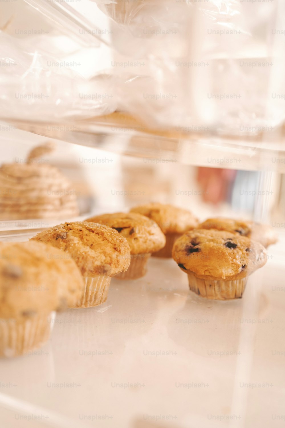 로스리더 관련 이미지