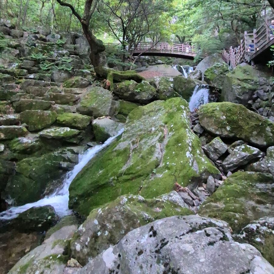 금오산