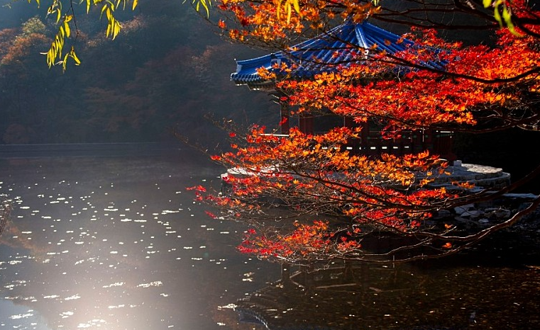 내장산 단풍여행