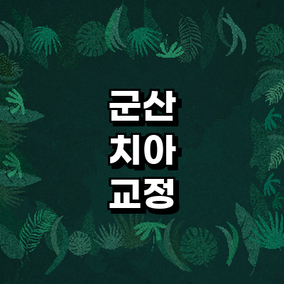 군산시 교정 치과