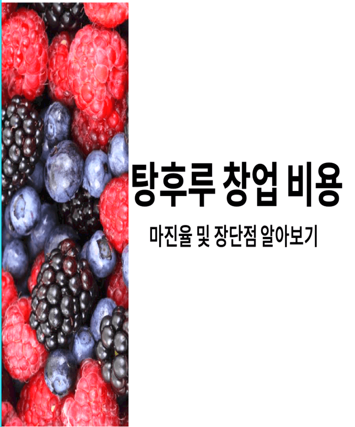 탕후루 창업 비용 및 마진율