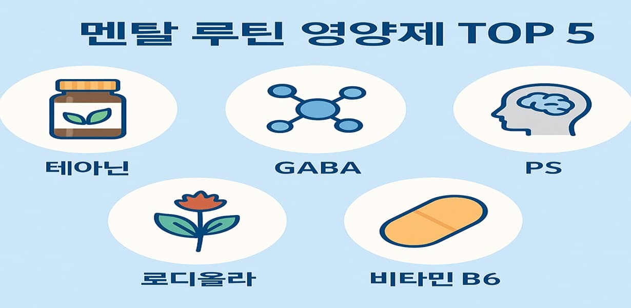 “멘탈 루틴을 위한 주요 영양제 5종을 정리한 인포그래픽 이미지”