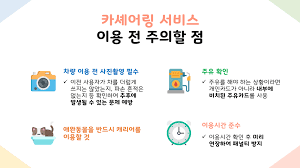 카셰어링 이용 팁 모음