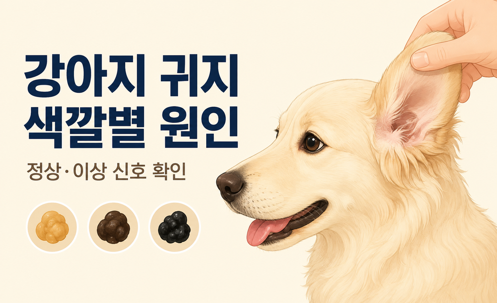 강아지 귀지 색깔별 정상 상태와 이상 신호를 안내하는 대표 화면