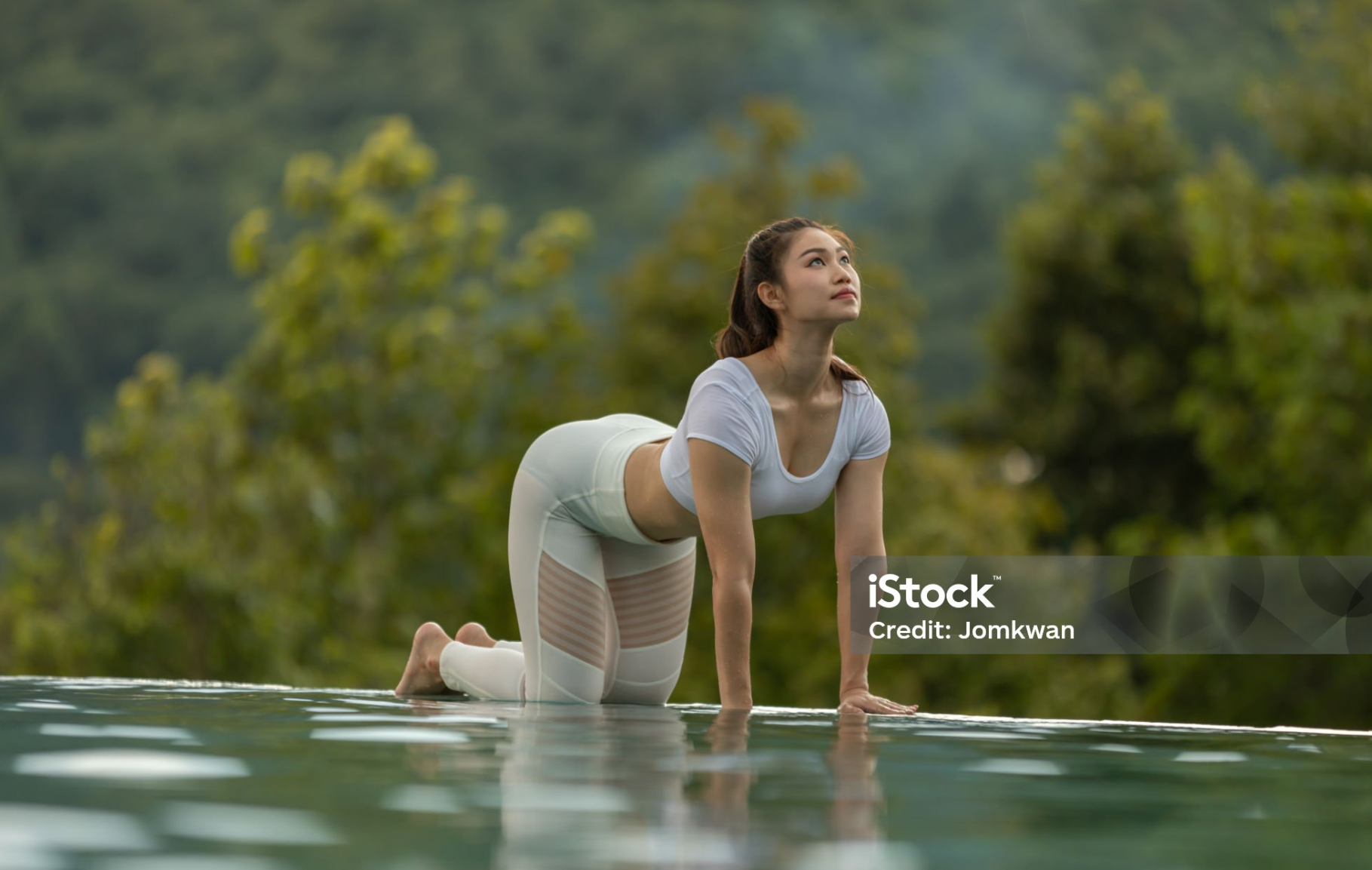 고양이-소 자세 (Cat-Cow Pose)