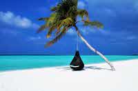 일본 여행지 추천 순위 꼭 가볼만한 곳