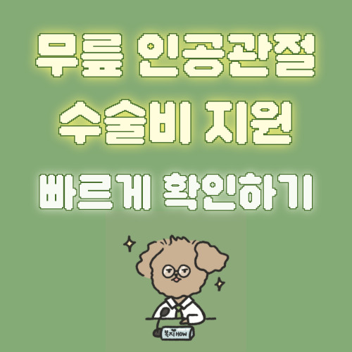 무릎 인공관절 수술 비용 지원