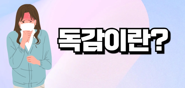 독감 예방접종